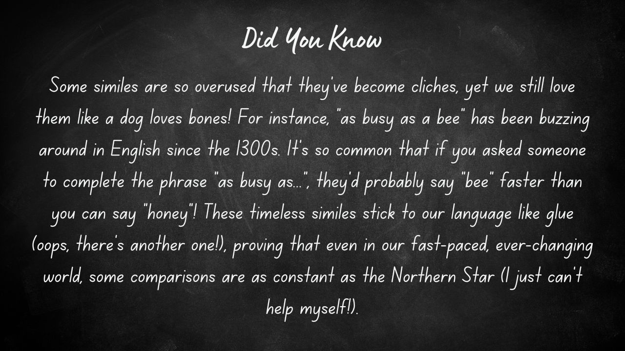 similes for dullness