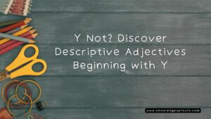 Adjectives for Y
