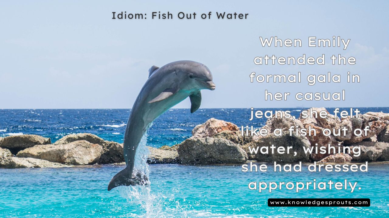 Idioms for Animals