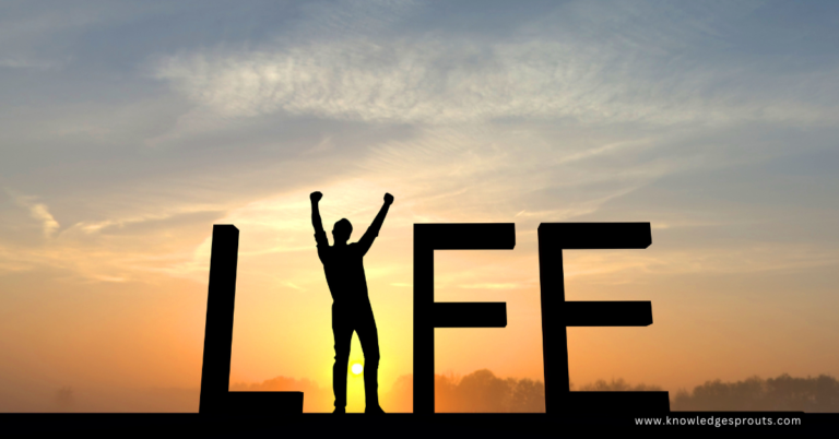 Metaphors for Life