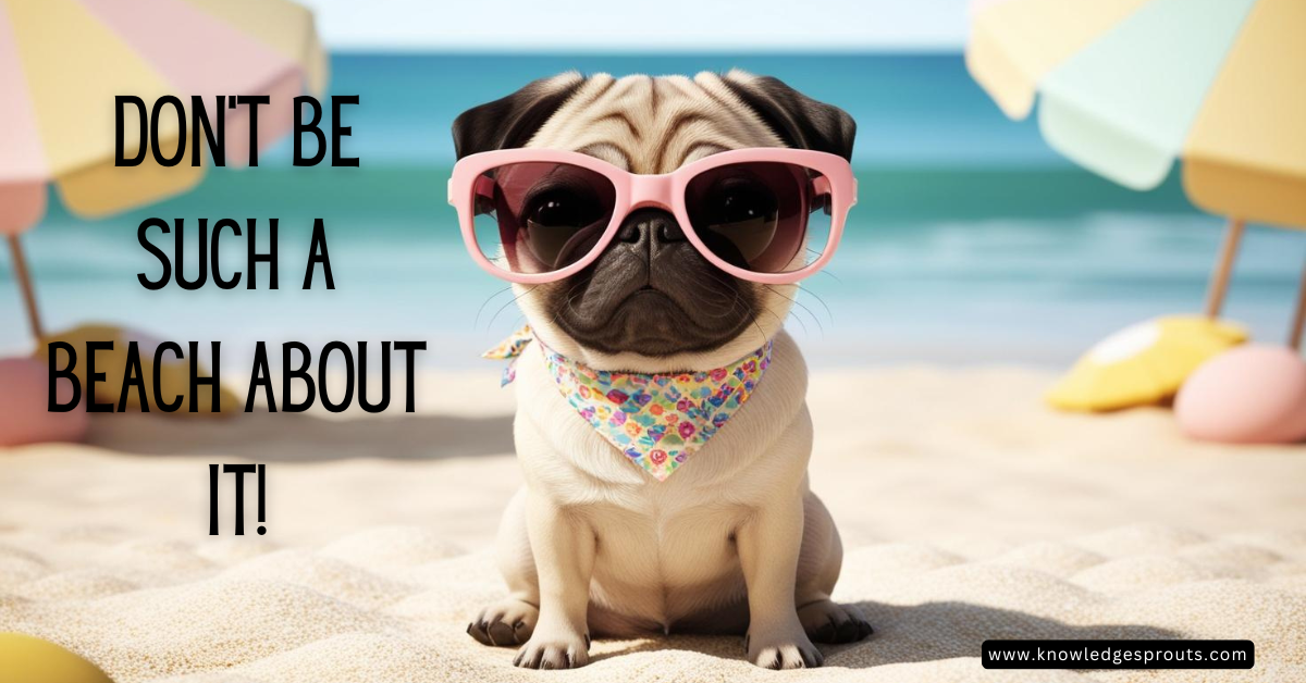 beach jokes