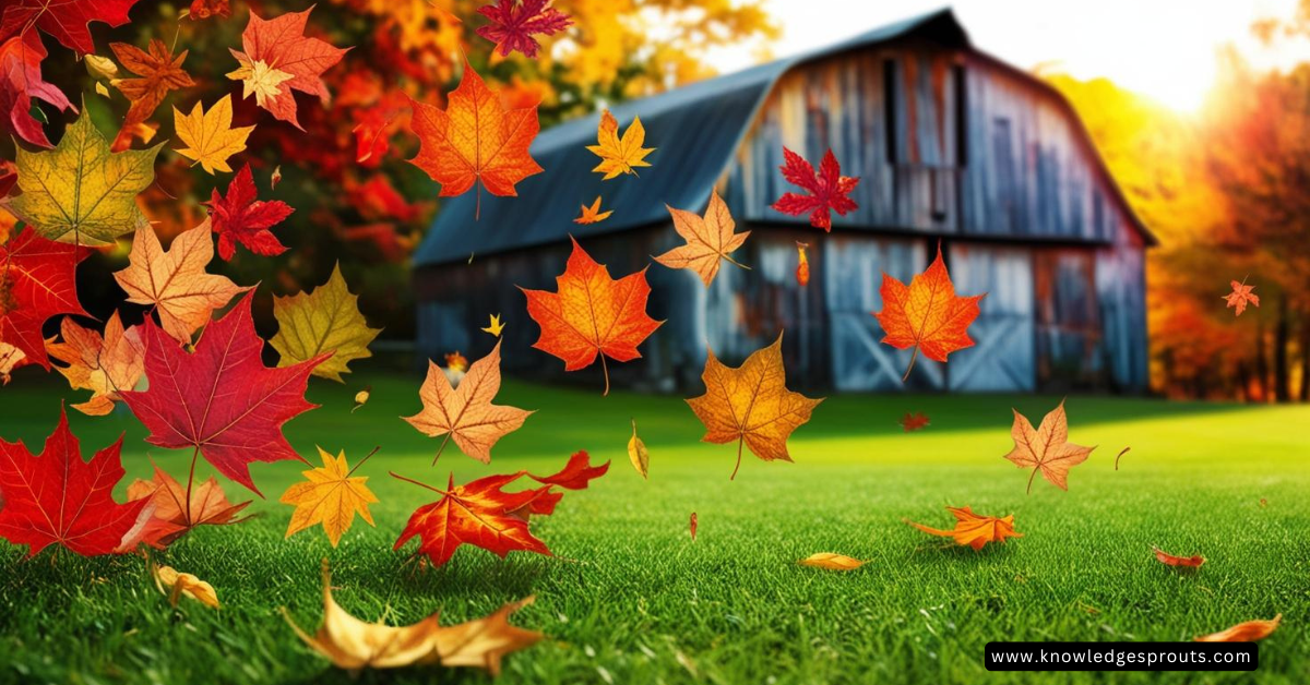 beautiful fall