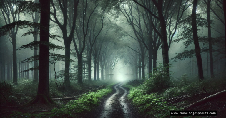 Metaphors for Fear