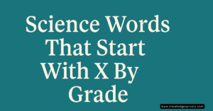 science words and terms that start with x