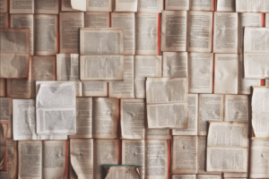How Online Programs Help Students Learn Academic Jargon